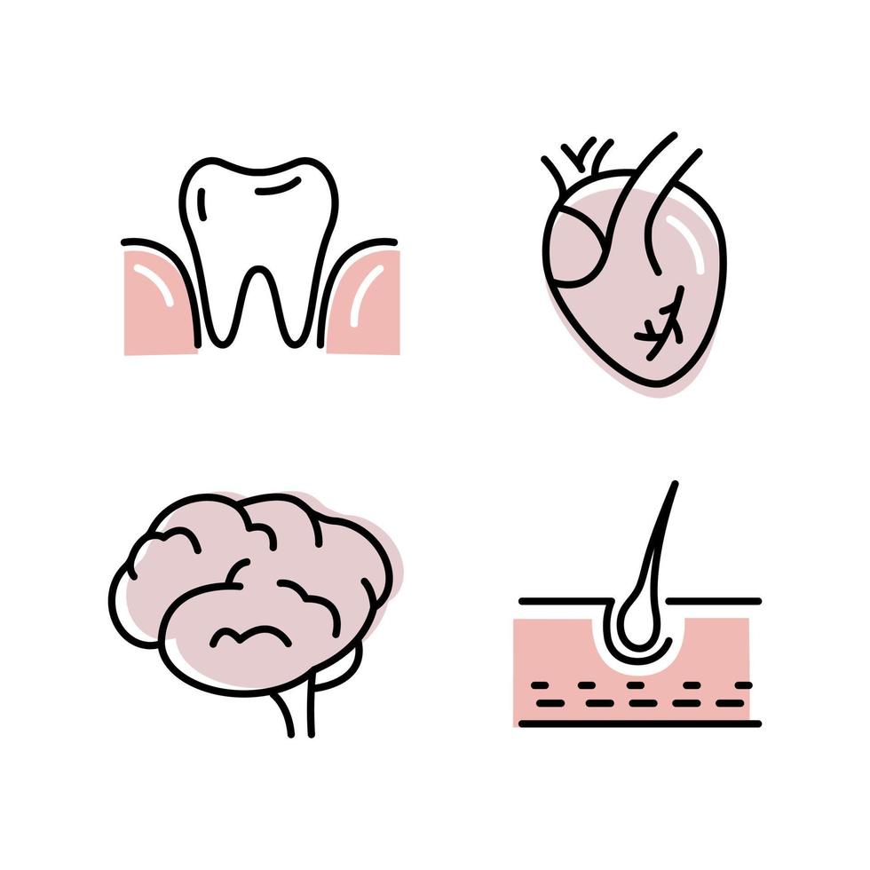 ícone plano de intestinos. coleção de símbolos de contorno. conjunto gráfico de órgãos humanos cérebro coração dente cabelo. ilustração vetorial em fundo branco vetor