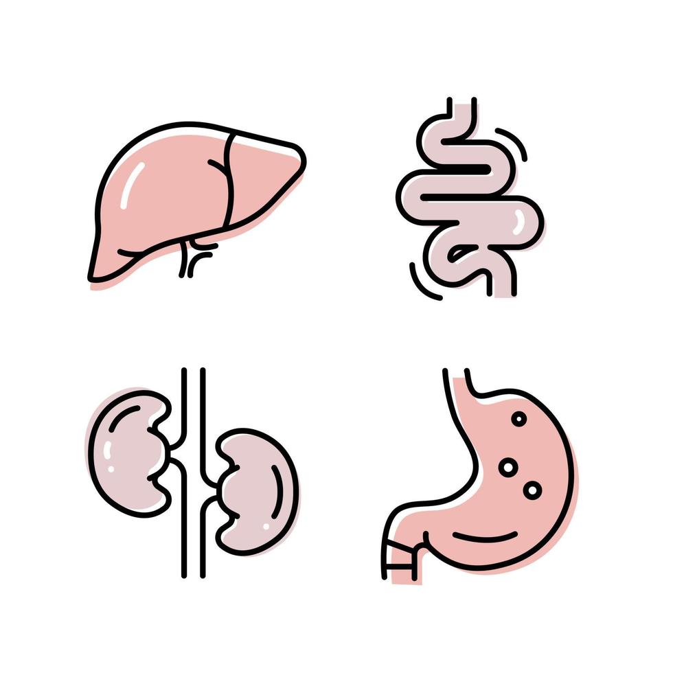 ícone plano de intestinos. coleção de símbolos de contorno. conjunto gráfico de órgãos humanos fígado estômago rins intestinos. ilustração vetorial em fundo branco vetor