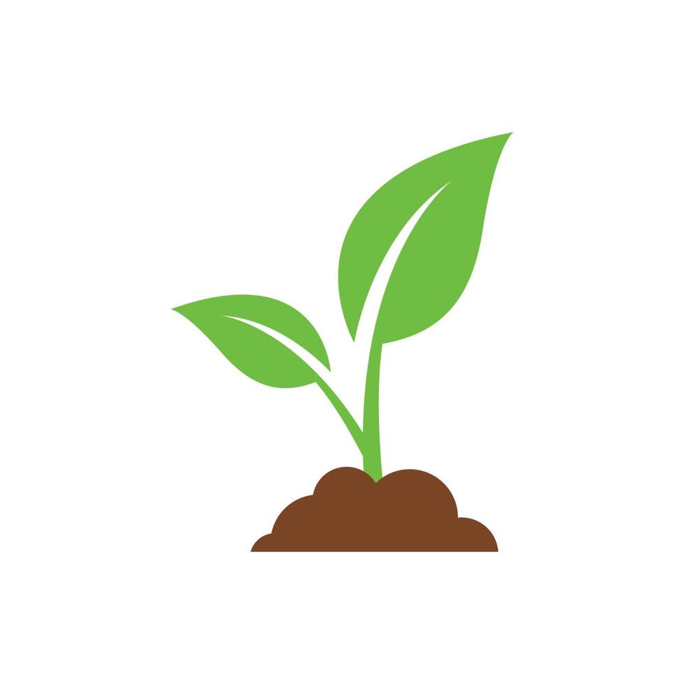 vetor de design de ícone de logotipo de planta