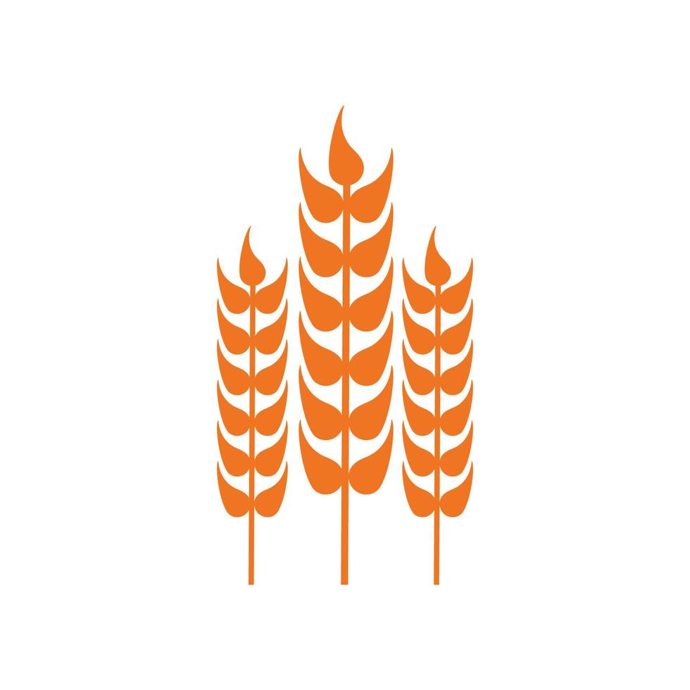 modelo de design de logotipo de ícone de trigo e arroz vetor