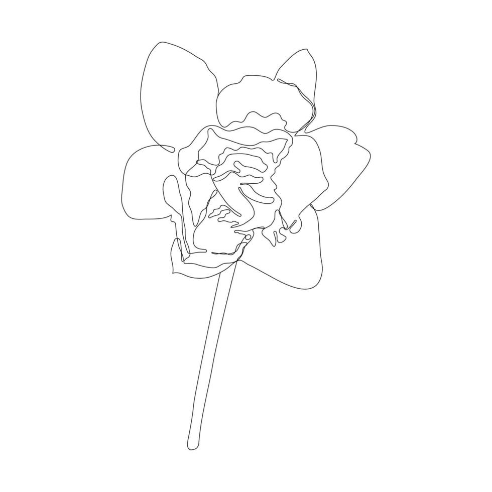 contínuo um único desenho de linha abstrato simples de ícone de flor de narciso em silhueta em um fundo branco. linear estilizado. ilustração vetorial. vetor