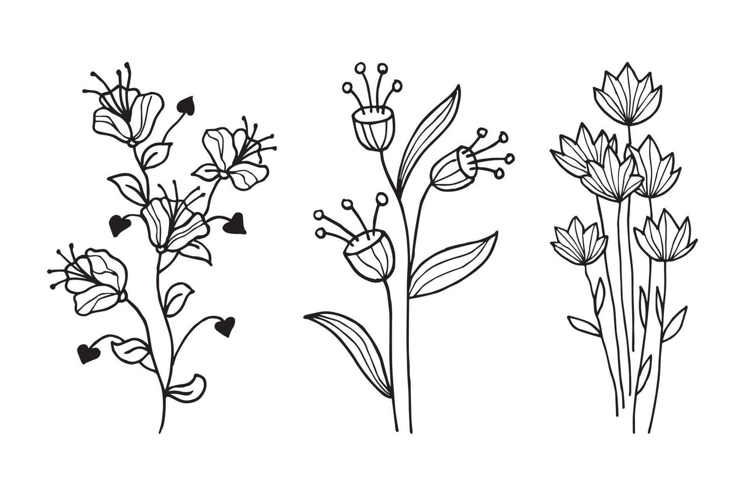 elementos florais de design vetorial desenhado à mão vetor