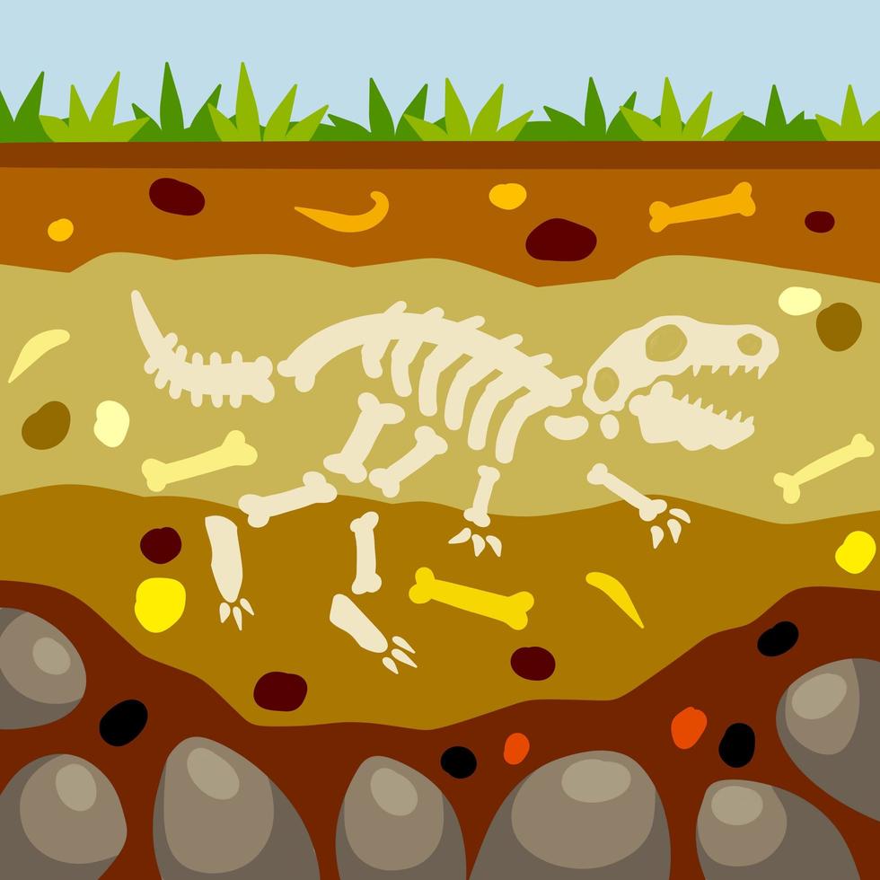 esqueleto de dinossauro. ossos de um lagarto pré-histórico. terreno na seção vetor