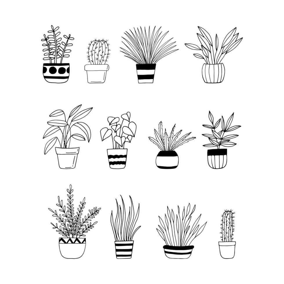 plantas de casa em vasos definir ícone desenhado à mão. , minimalismo, escandinavo, monocromático, flores de plantas de adesivo nórdico vetor