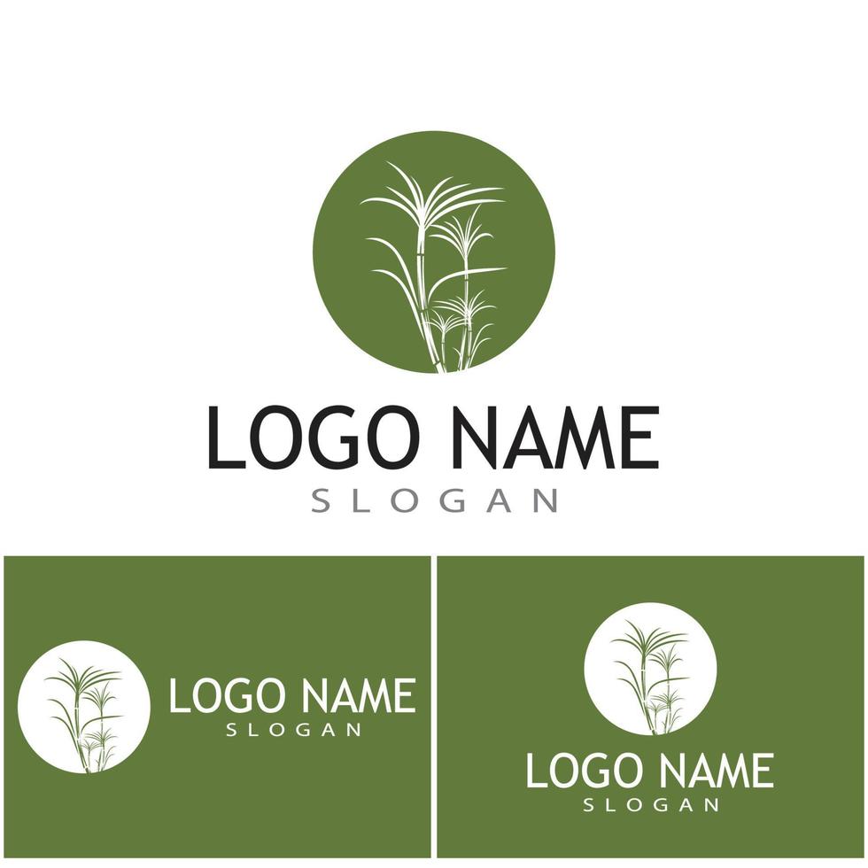 modelo de logotipo de cana-de-açúcar vetor símbolo natureza
