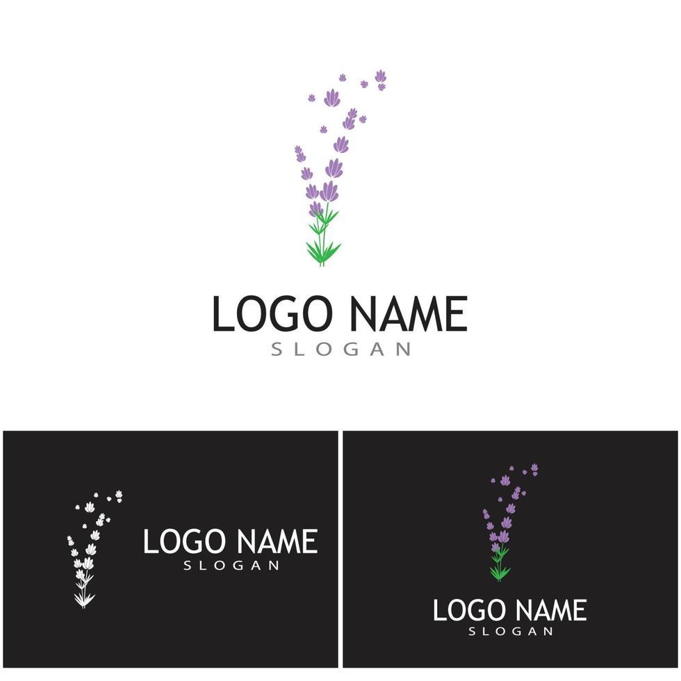 lavanda logotipo modelo vetor símbolo natureza