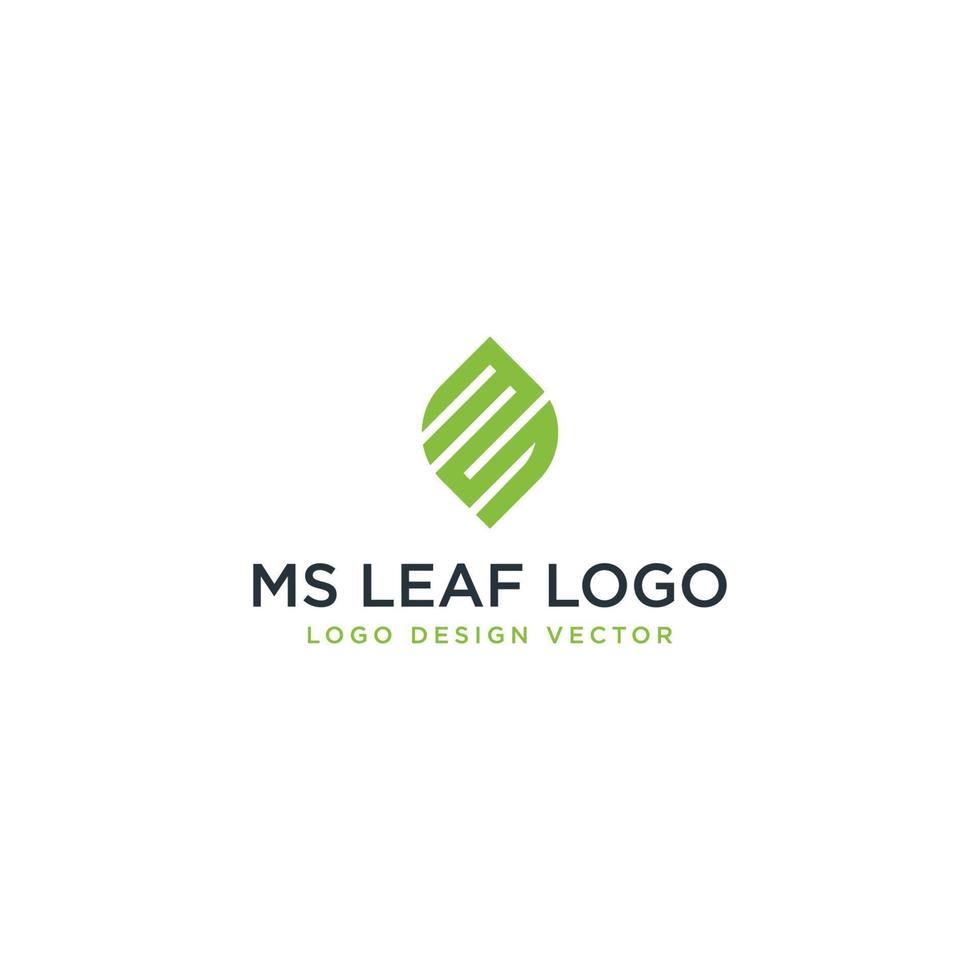 vetor de design de logotipo de folha ms