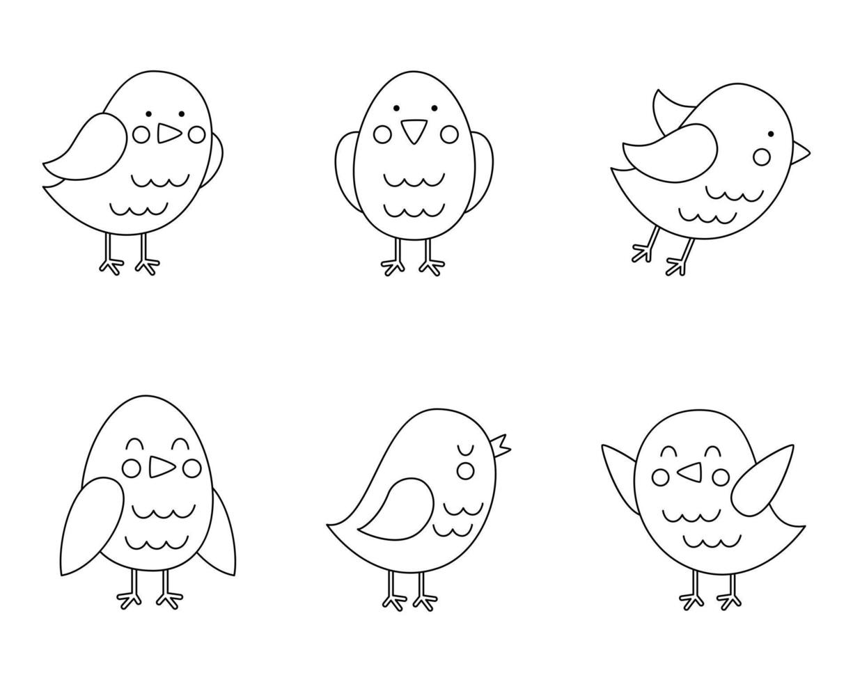 pássaros de primavera bonito dos desenhos animados sobre fundo branco. página para colorir. vetor
