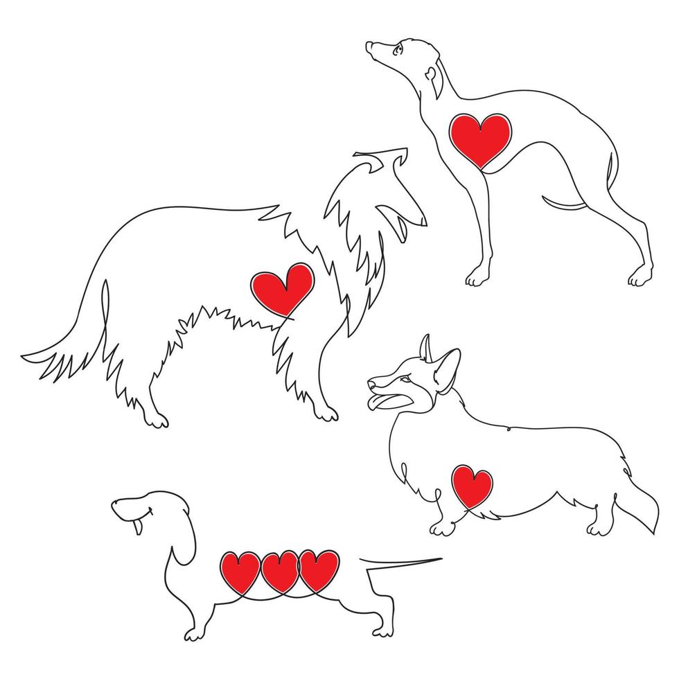 cães de várias raças e posições. ilustração vetorial com um contorno desenhado à mão de uma linha com um coração vermelho vetor