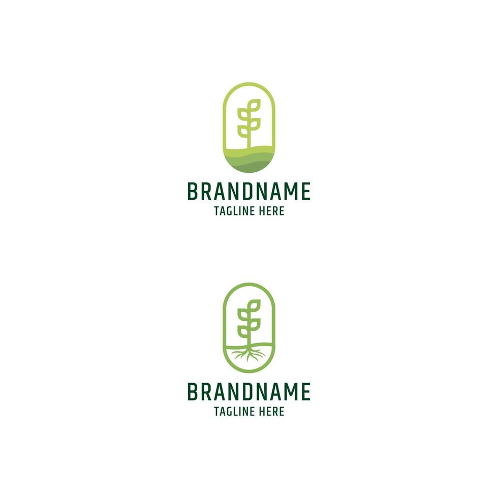 modelo de design de ícone de logotipo de agricultura de planta de semente verde vetor