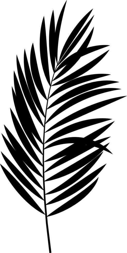 ilustração em vetor silhueta preta de folha de palmeira