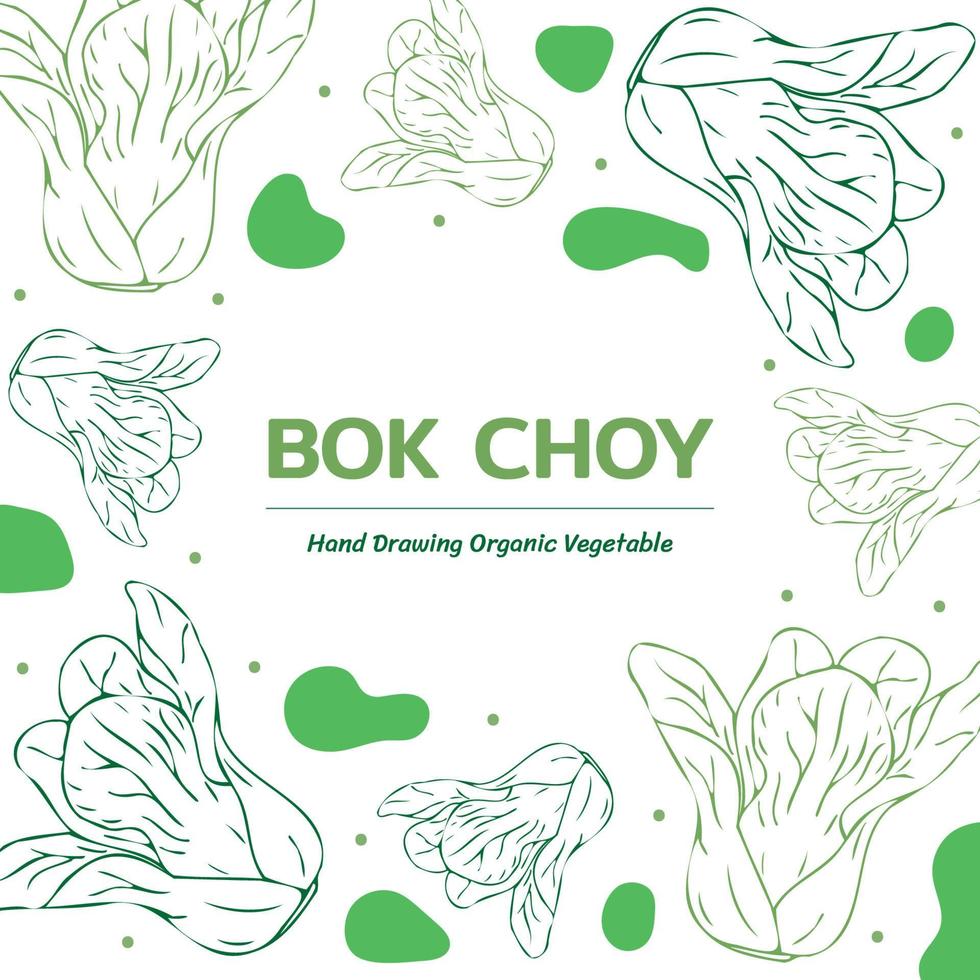 bok choy mão desenhada fundo vegetal, ilustração vetorial. vetor