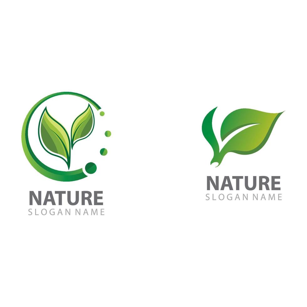 vetor de modelo de design de logotipo de natureza de folha