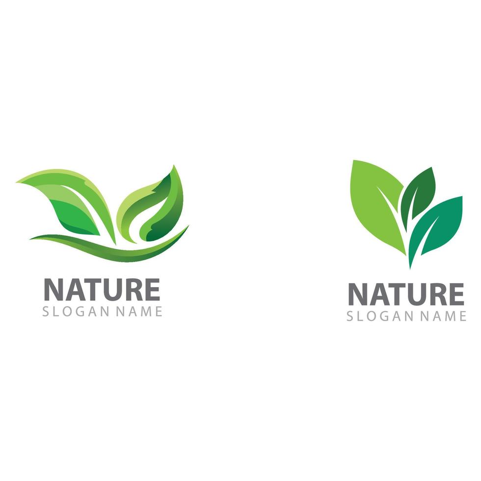 vetor de modelo de design de logotipo de natureza de folha