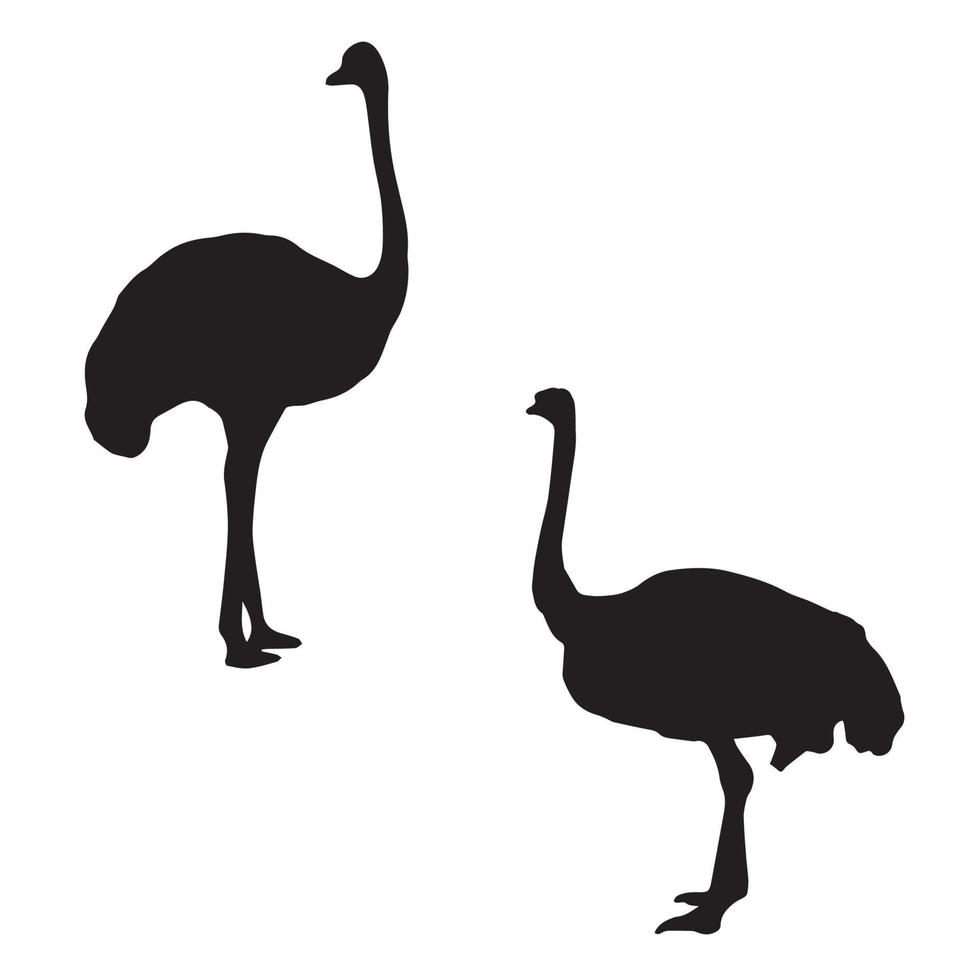 silhueta de arte de avestruz vetor