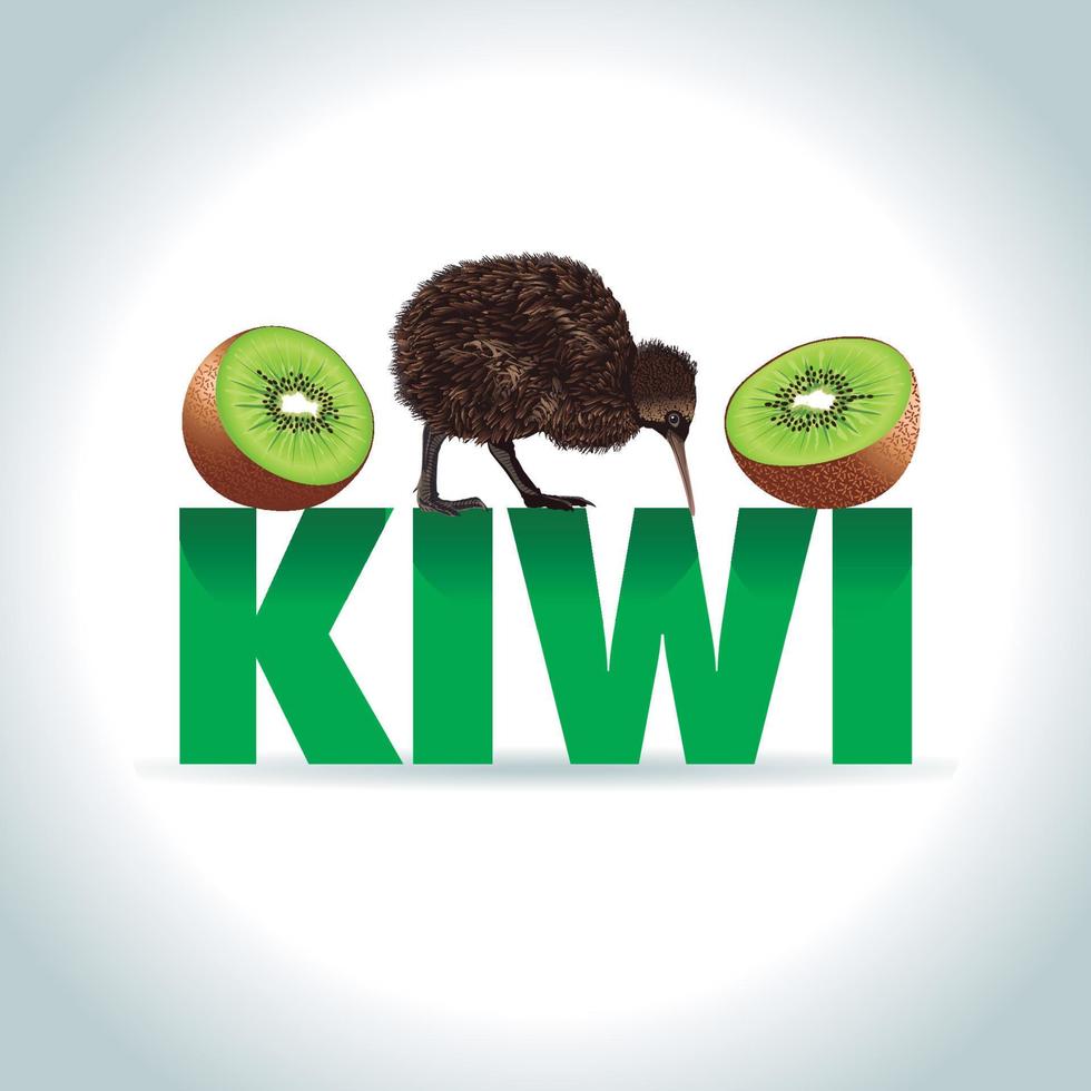 ilustração de kiwi animal e desenho de frutas, pássaro da nova zelândia vetor