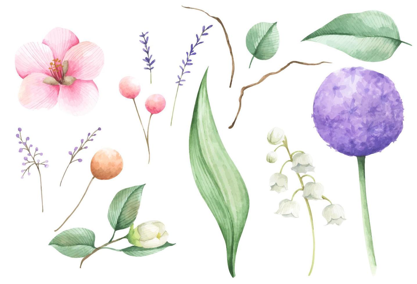 conjunto de florais. ilustração em aquarela. vetor