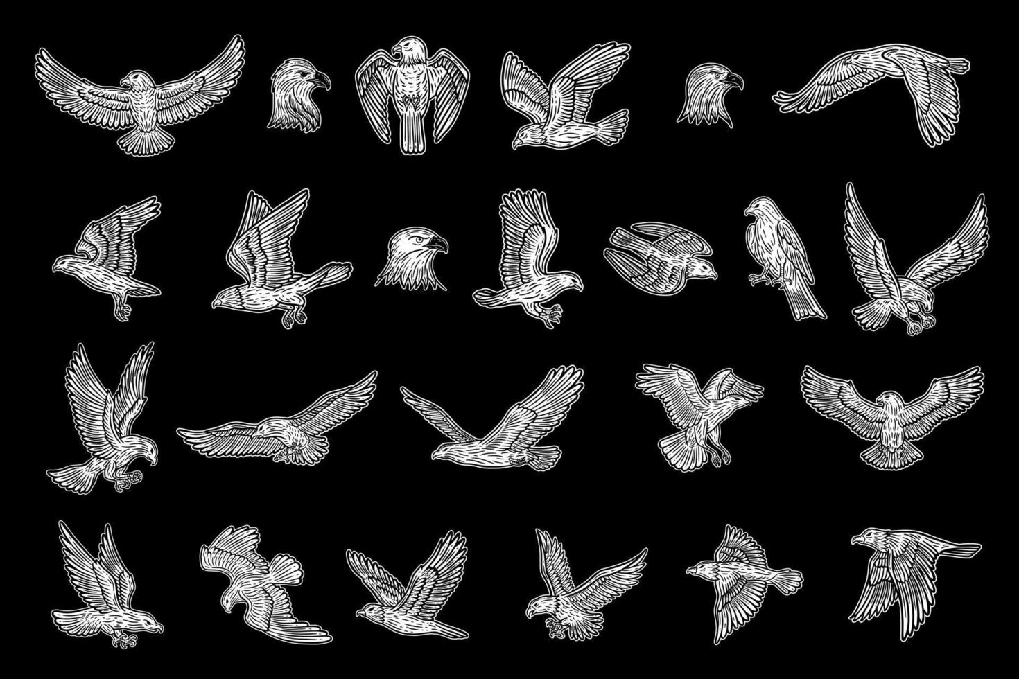 definir pacote de mega coleção de asas de animais de pássaro de águia voando à mão desenhada para ilustração de arte de tatuagem e camiseta vetor
