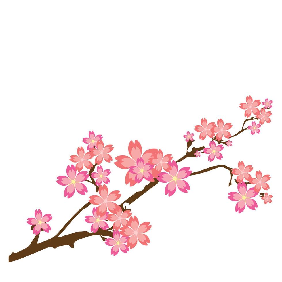 flor de cerejeira rosa vetor