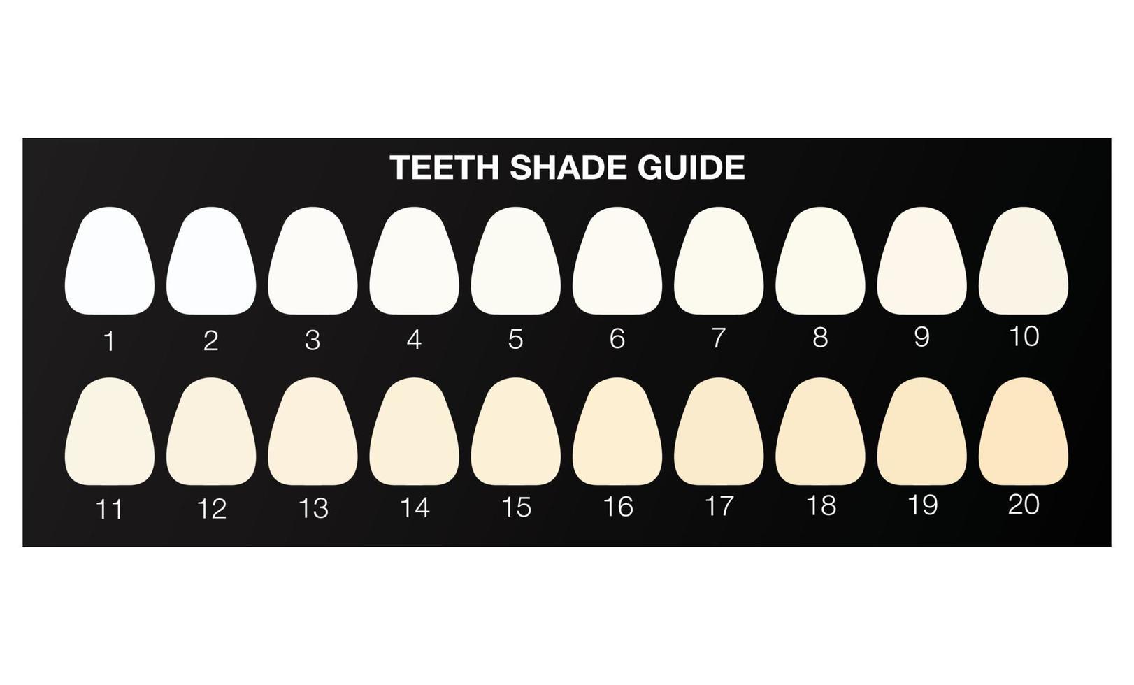 guia de cores de clareamento dos dentes, cartela de cores dental. vetor de ilustração plana