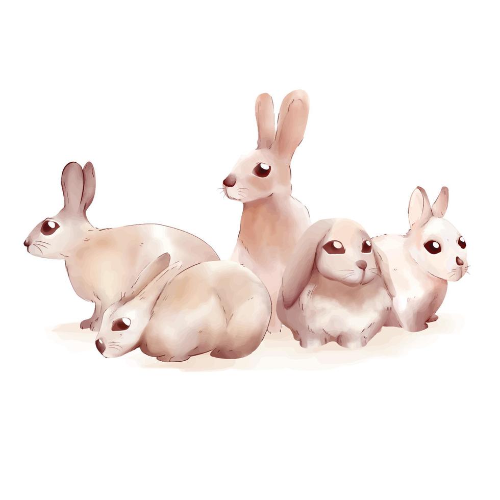 coelhos bebê diferente posando em fundo branco ilustração em aquarela estilo fofo vetor