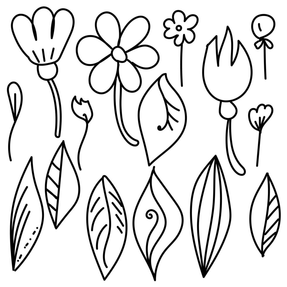 conjunto de flores e folhas de doodle vetorial vetor