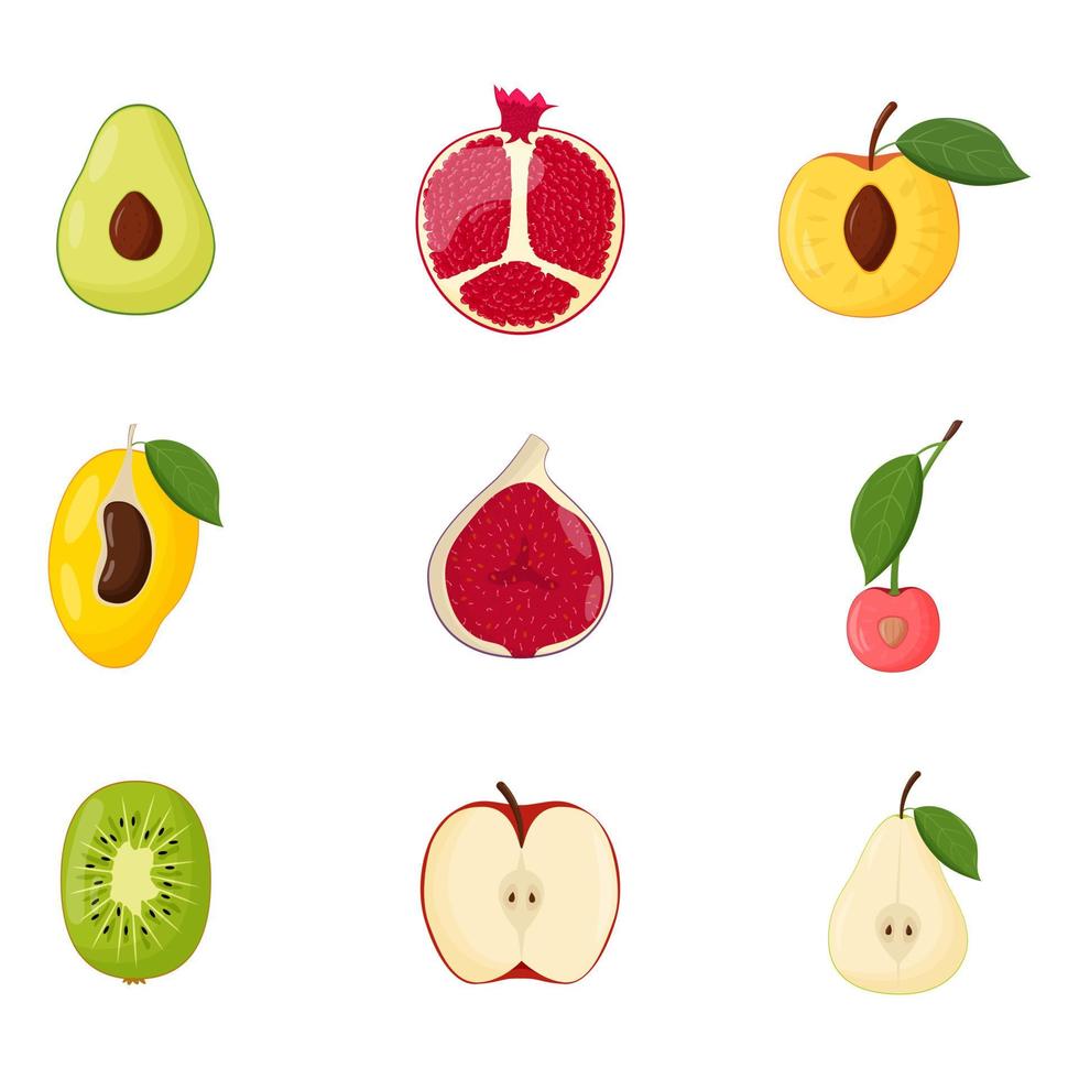 conjunto de meias frutas. comida vegetariana, conceito de alimentação saudável. abacate, romã, pêssego, manga, figo, cereja kiwi maçã pera ilustração vetorial plana vetor