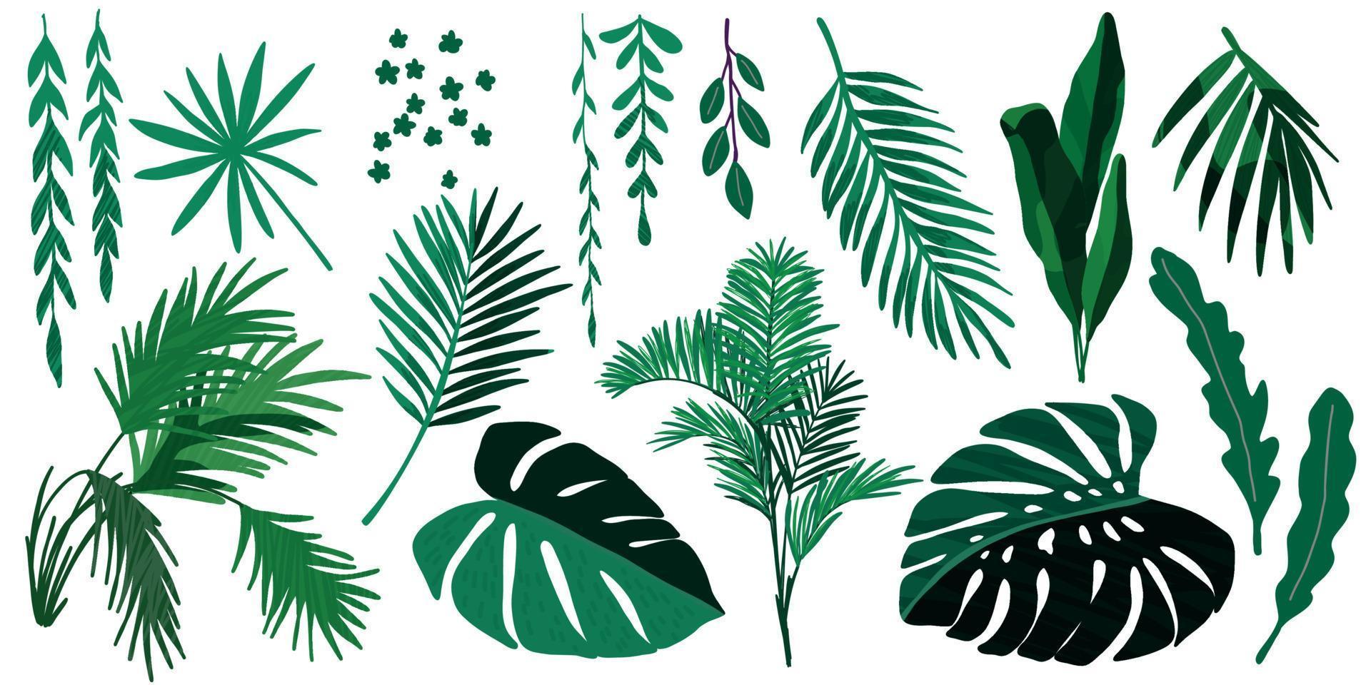 coleção de folhas tropicais, conjunto de vetores desenhados à mão
