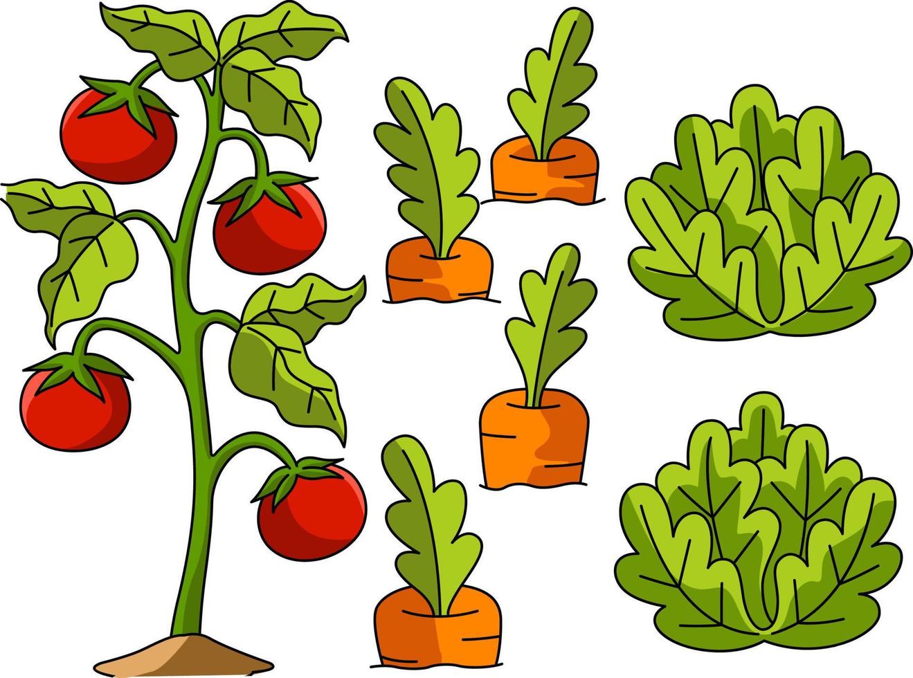 clipart colorido dos desenhos animados do campo vegetal vetor