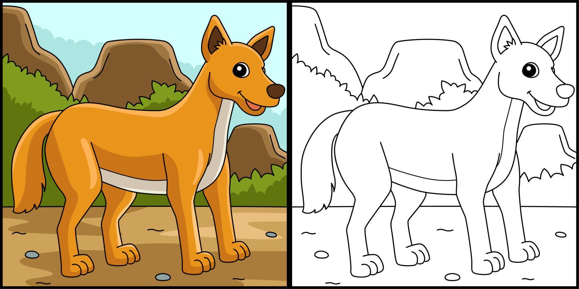 dingo animal para colorir ilustração colorida vetor