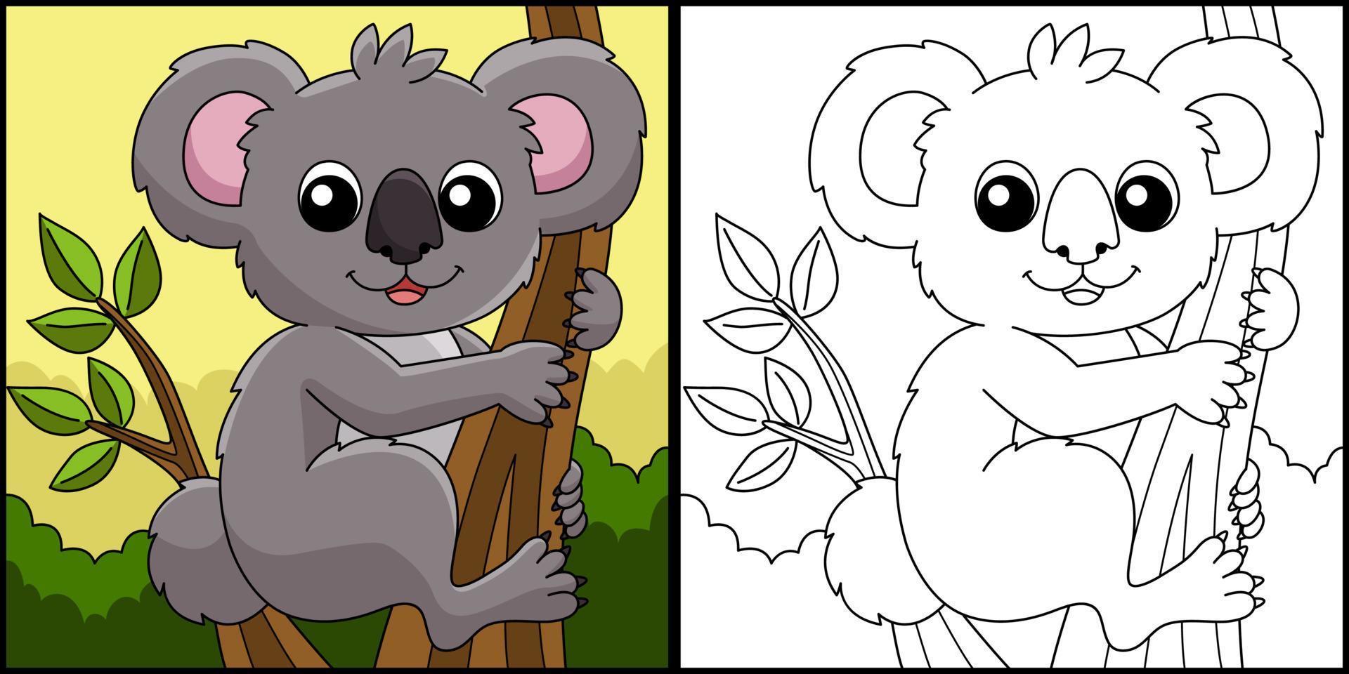 coala animal para colorir ilustração colorida vetor
