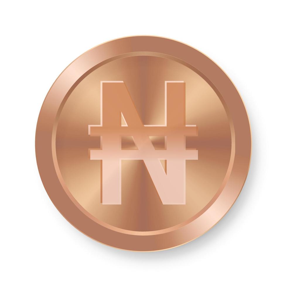 bronze da moeda naira conceito de moeda da web na internet vetor