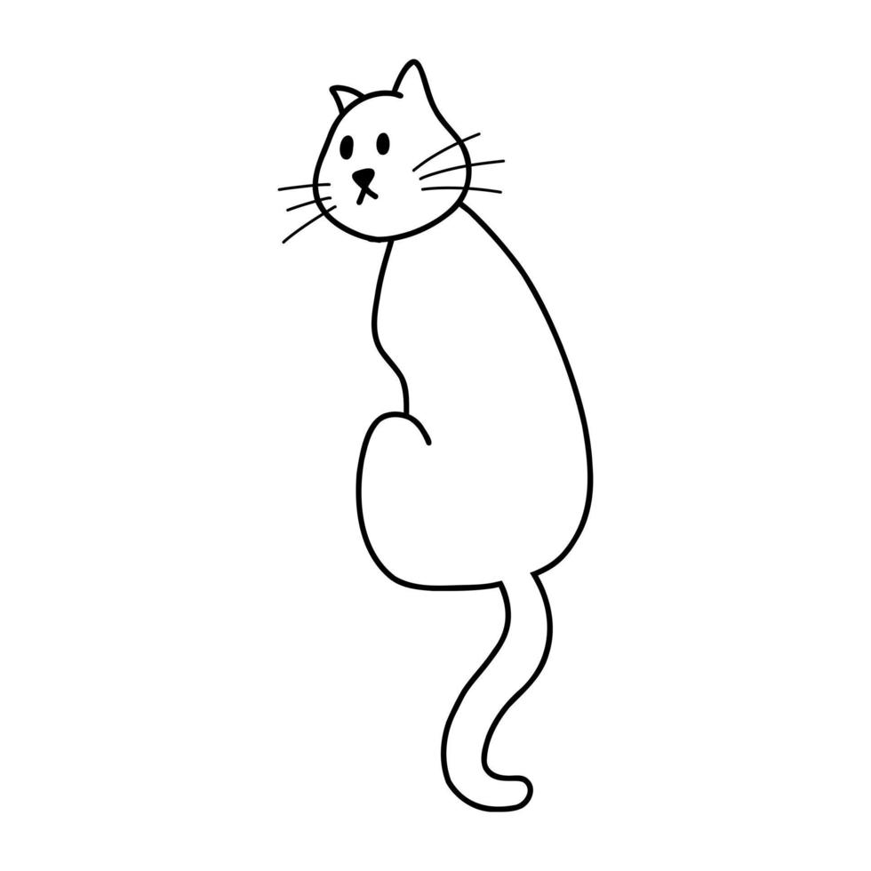 ilustração em vetor de gato doodle em estilo cartoon. personagem animal fofo para impressão, design, têxtil, página para colorir.