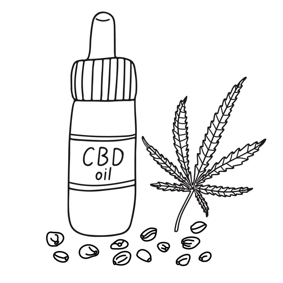 frasco de óleo cbd. doodle sketch ilustração vetorial desenhada à mão de uma garrafa, folha de cannabis e sementes e letras em fundo branco. contorno isolado. Medicina alternativa. vetor