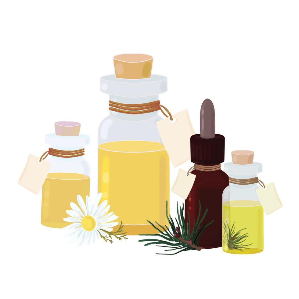 conjunto de garrafas cosméticas de vidro com óleo e etiquetas, óleo aromático de pinho, camomila, vetor