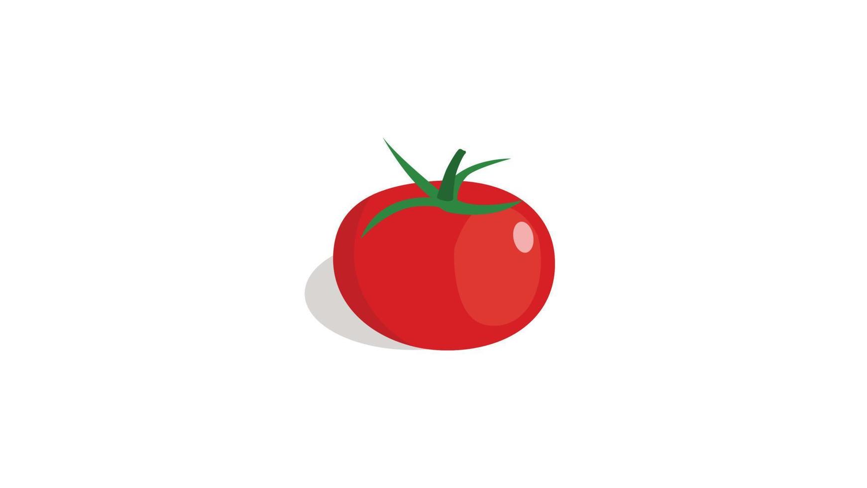 ilustração em vetor de tomate vermelho sobre fundo branco.