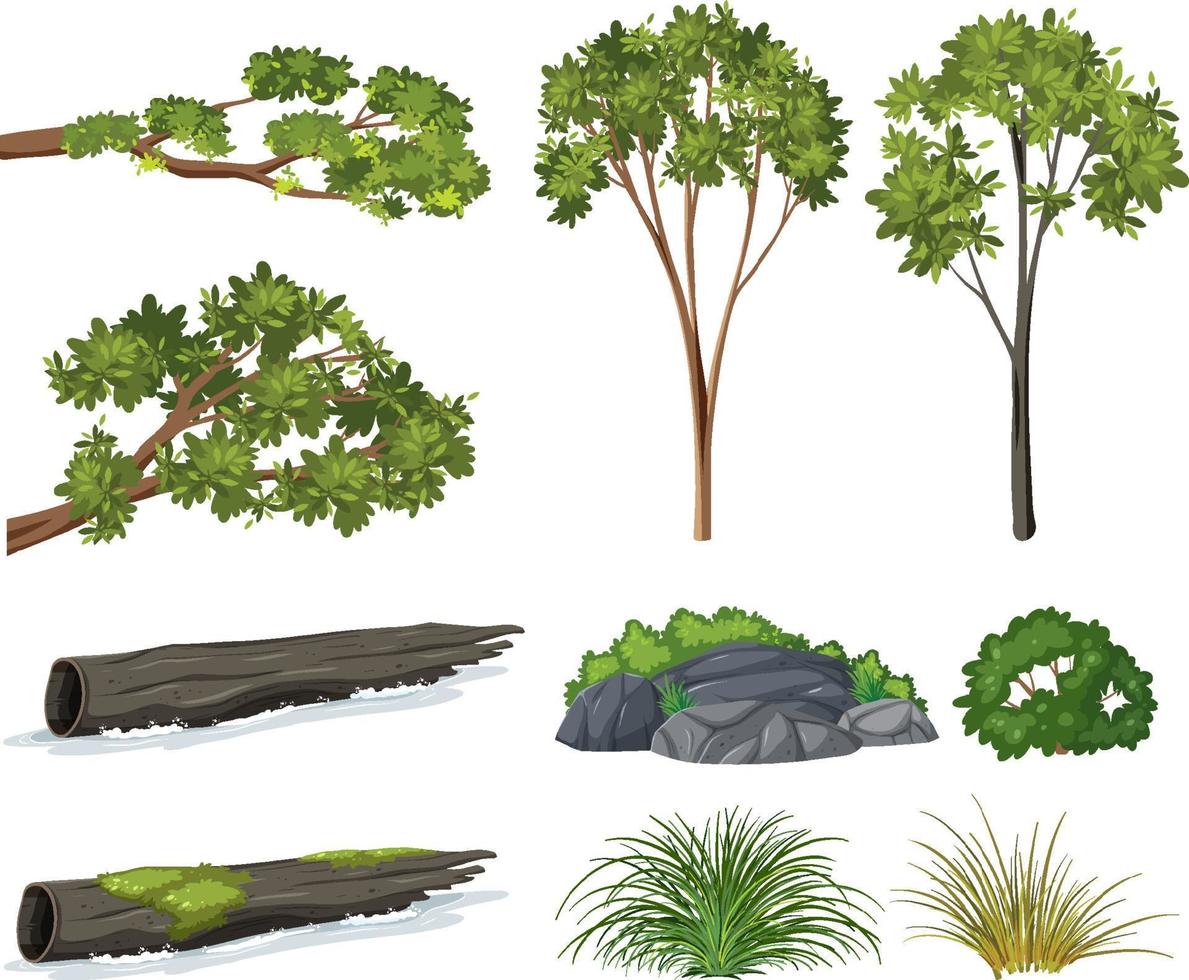 conjunto de árvores isoladas e objetos da natureza vetor