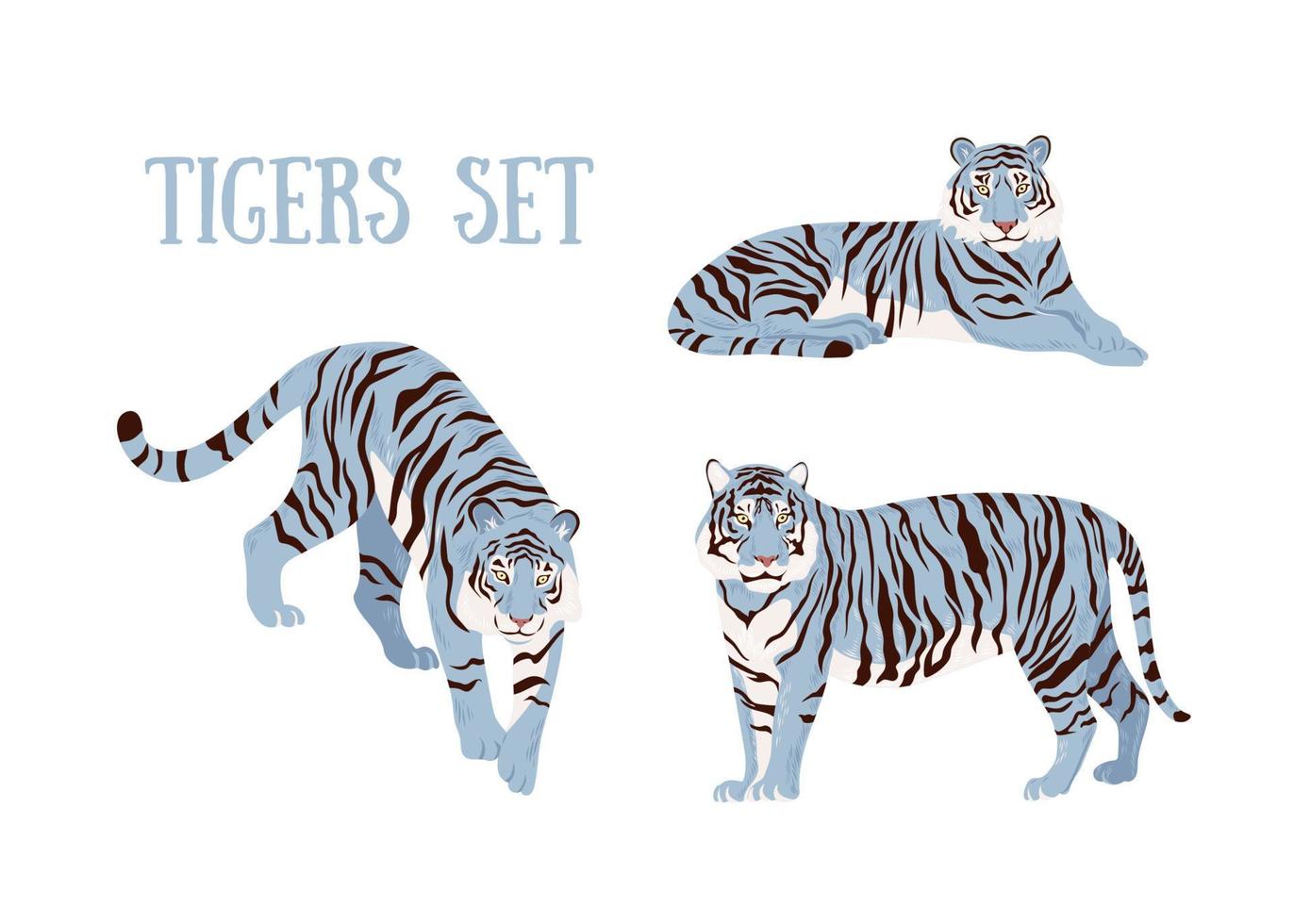 conjunto de tigres azuis. ilustração em vetor elegante isolado. tigre chinês.