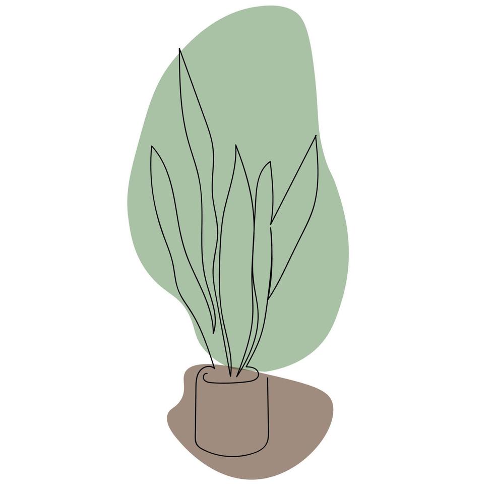 ilustração minimalista planta de casa de uma linha sansevieria vetor