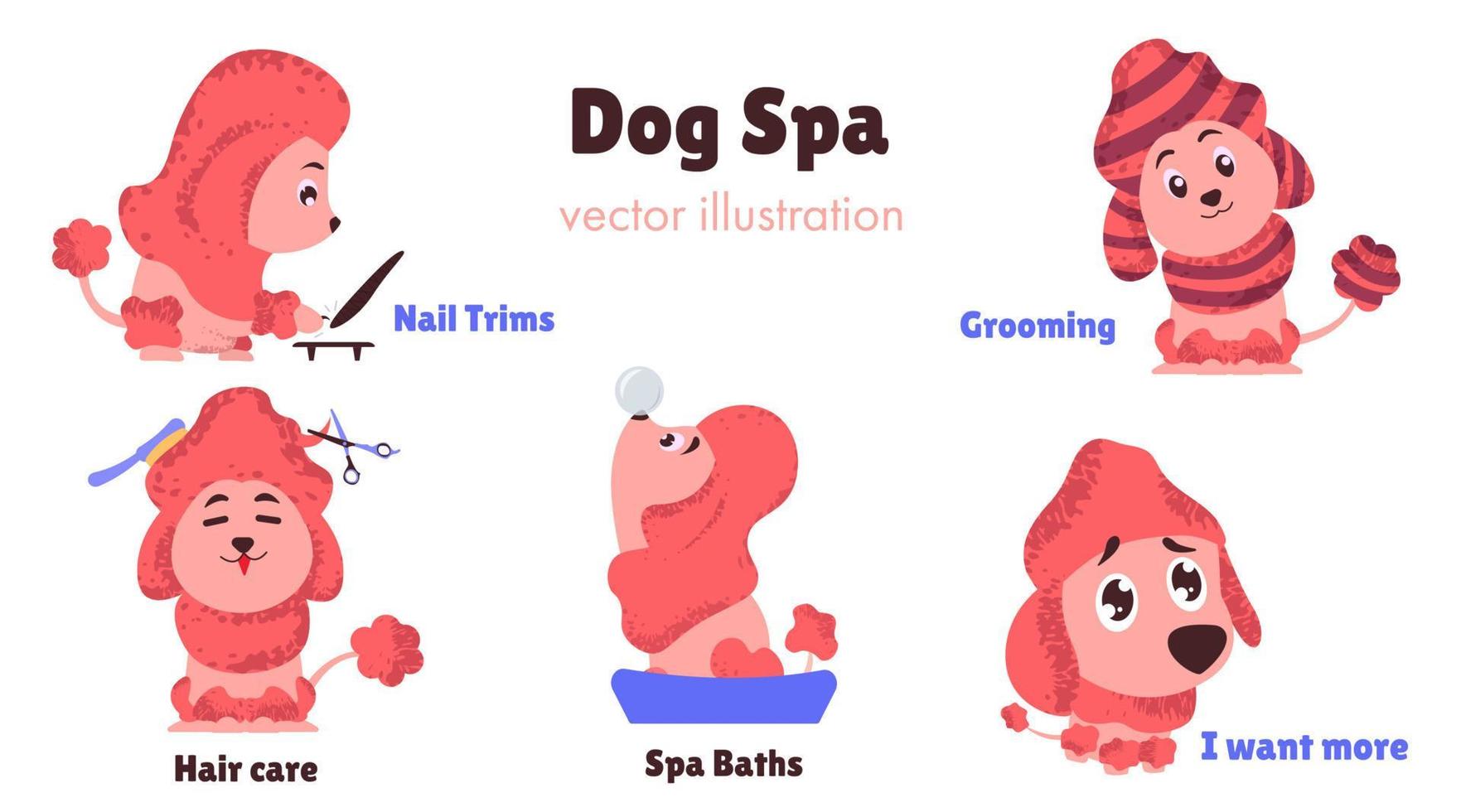 poodle fofo no salão de cachorro, banho, corte de cabelo, pentear, secar o cabelo vetor