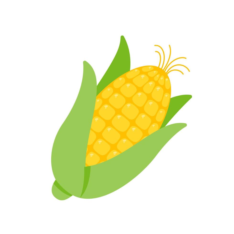 cascas verdes de milho amarelo são usadas como ingrediente alimentar. vetor