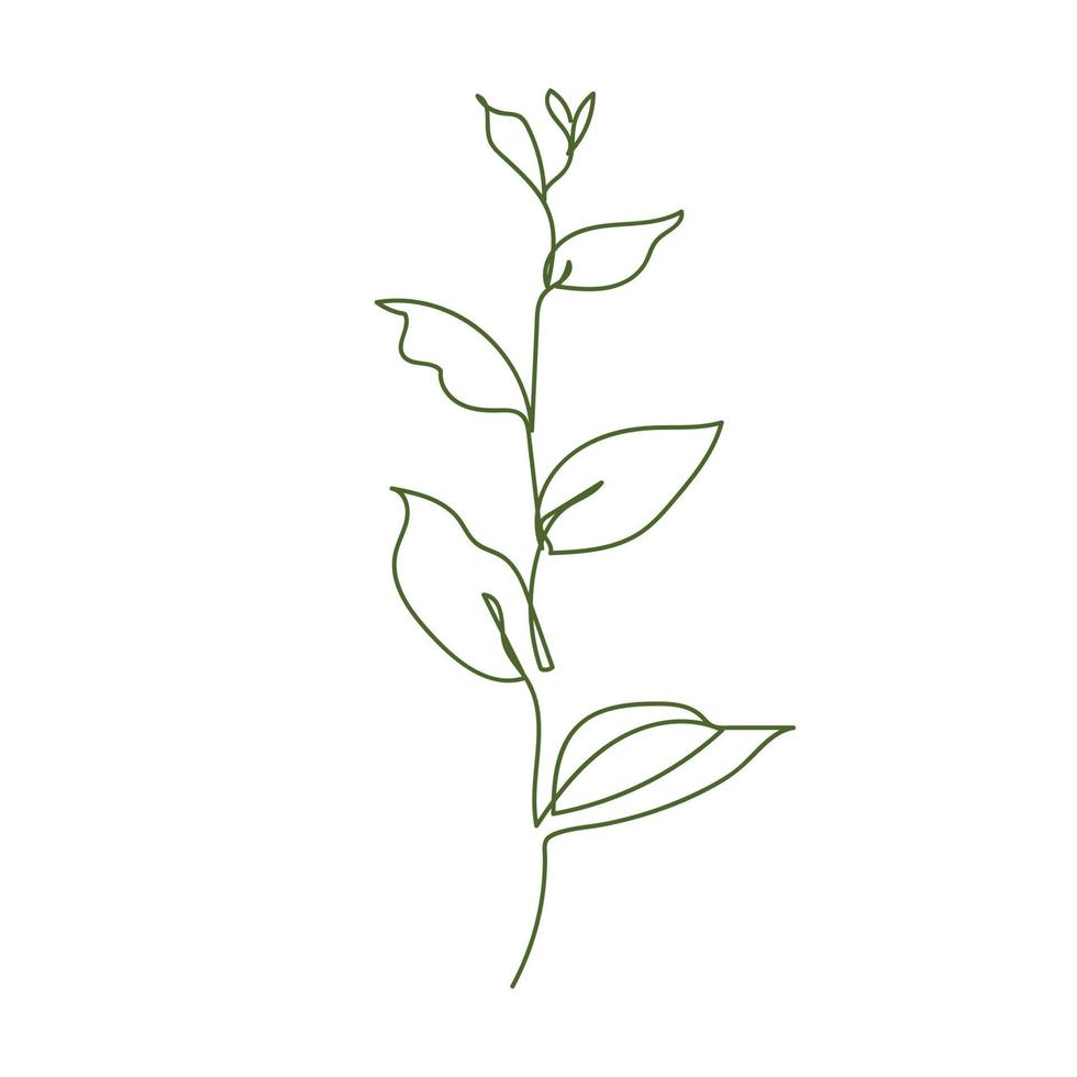 planta em uma linha sobre fundo branco. minimalismo desenhado à mão. ilustração simples, contorno. contínuo de flor. vetor