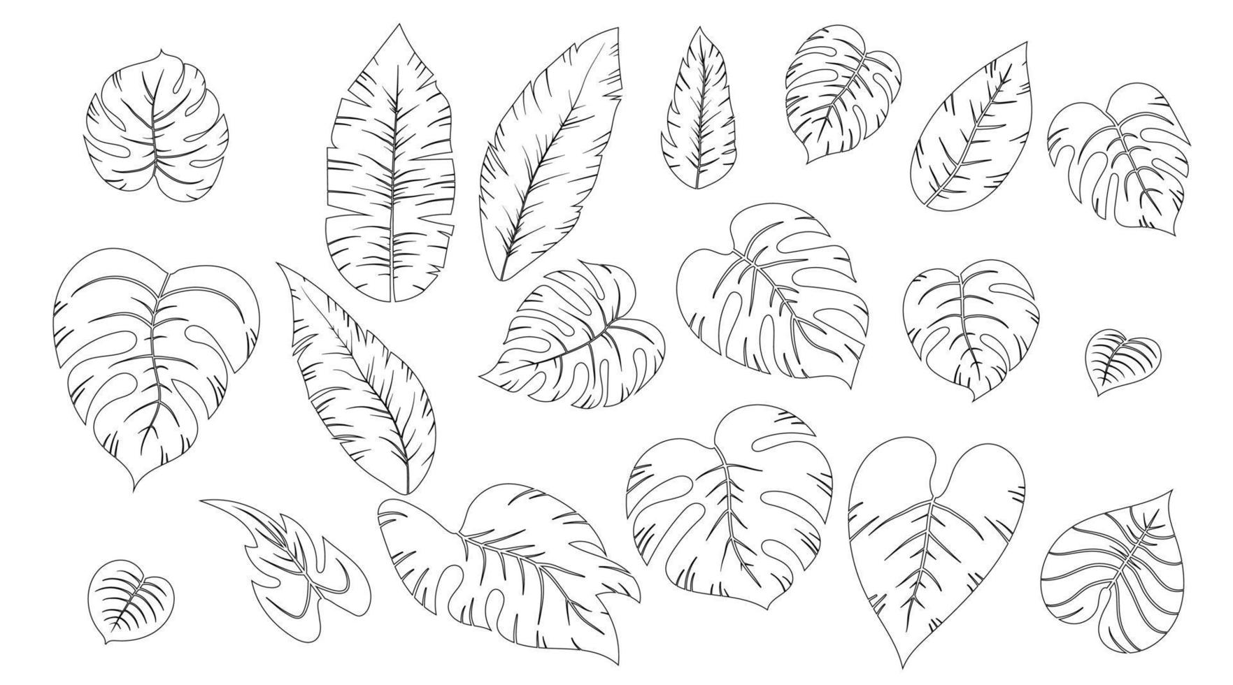 conjunto de linha colorindo folhas exóticas tropicais de diferentes tipos. plantas da selva de contorno. folhas de hibisco, monstera e folhas de palmeira. esboço mão desenhada ilustração vetorial botânica isolada no branco. vetor