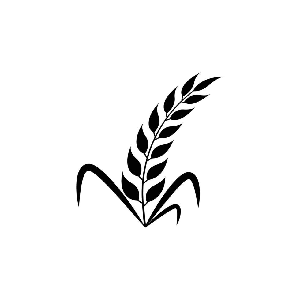 imagem vetorial de desenhos de logotipo de ícone de trigo e arroz vetor