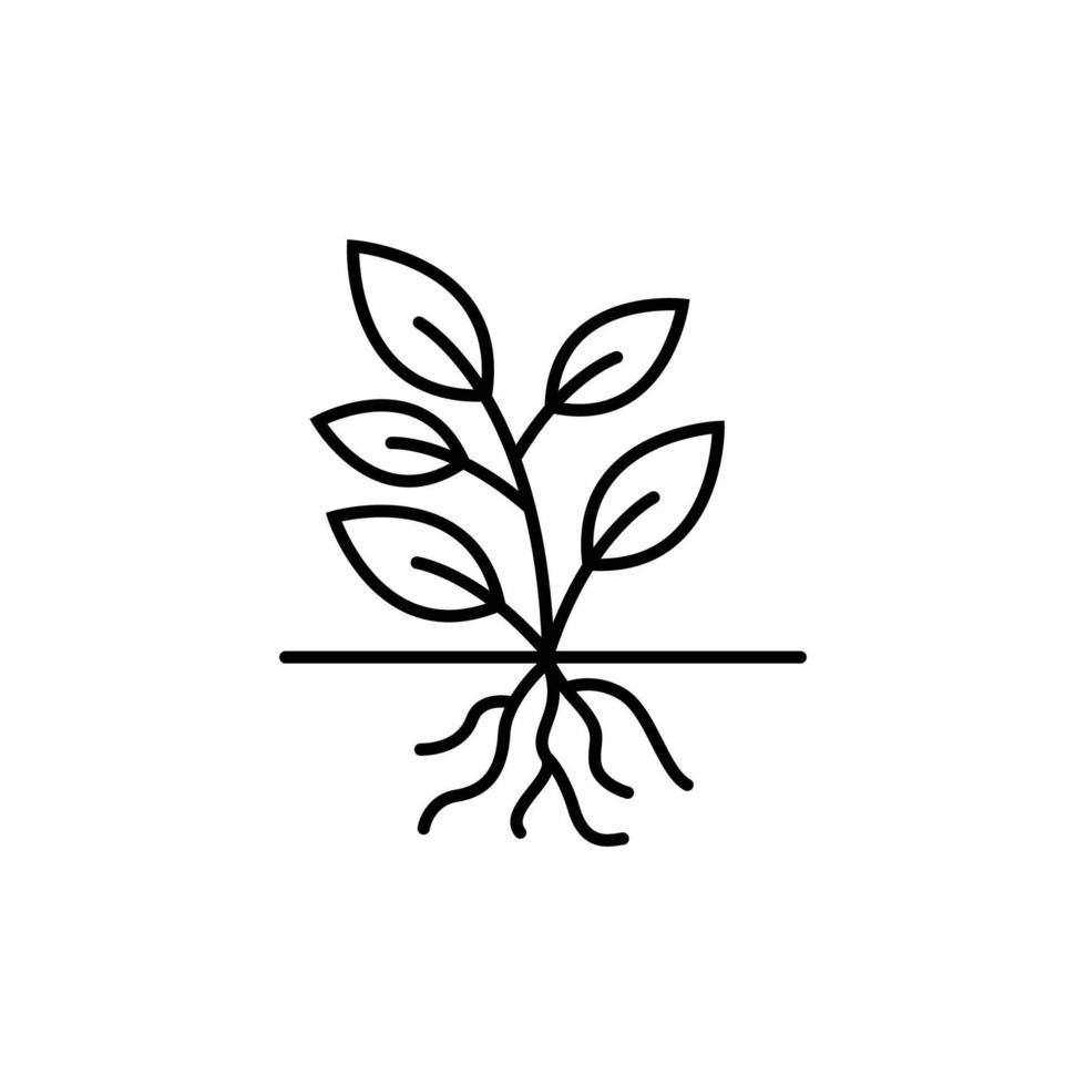 modelo de design de ícone de raiz de planta vetor