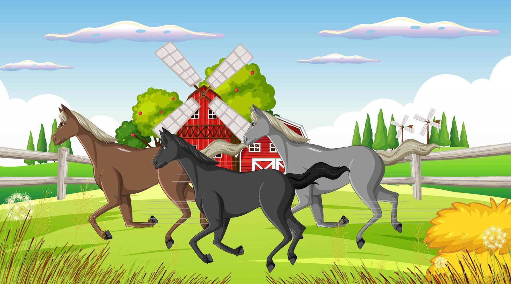 cena de equitação com cavalos na fazenda vetor
