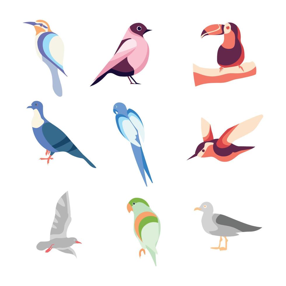 elementos de vetor de ilustração de pássaro plano