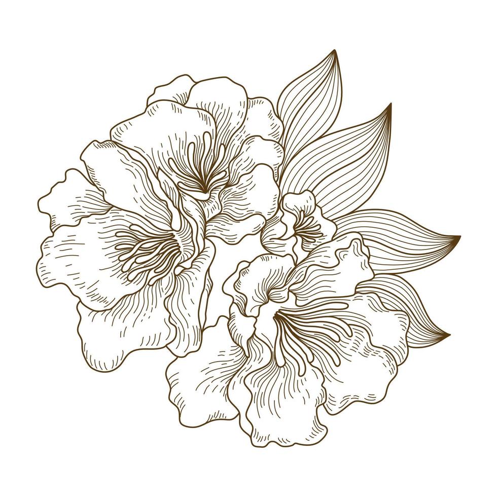 ilustração de arte de linha floral vetorial projetada em estilo doodle de tom marrom sobre fundo branco para decorar cartões, cartões de casamento, álbuns de recortes, capas, padrões de roupas e muito mais vetor