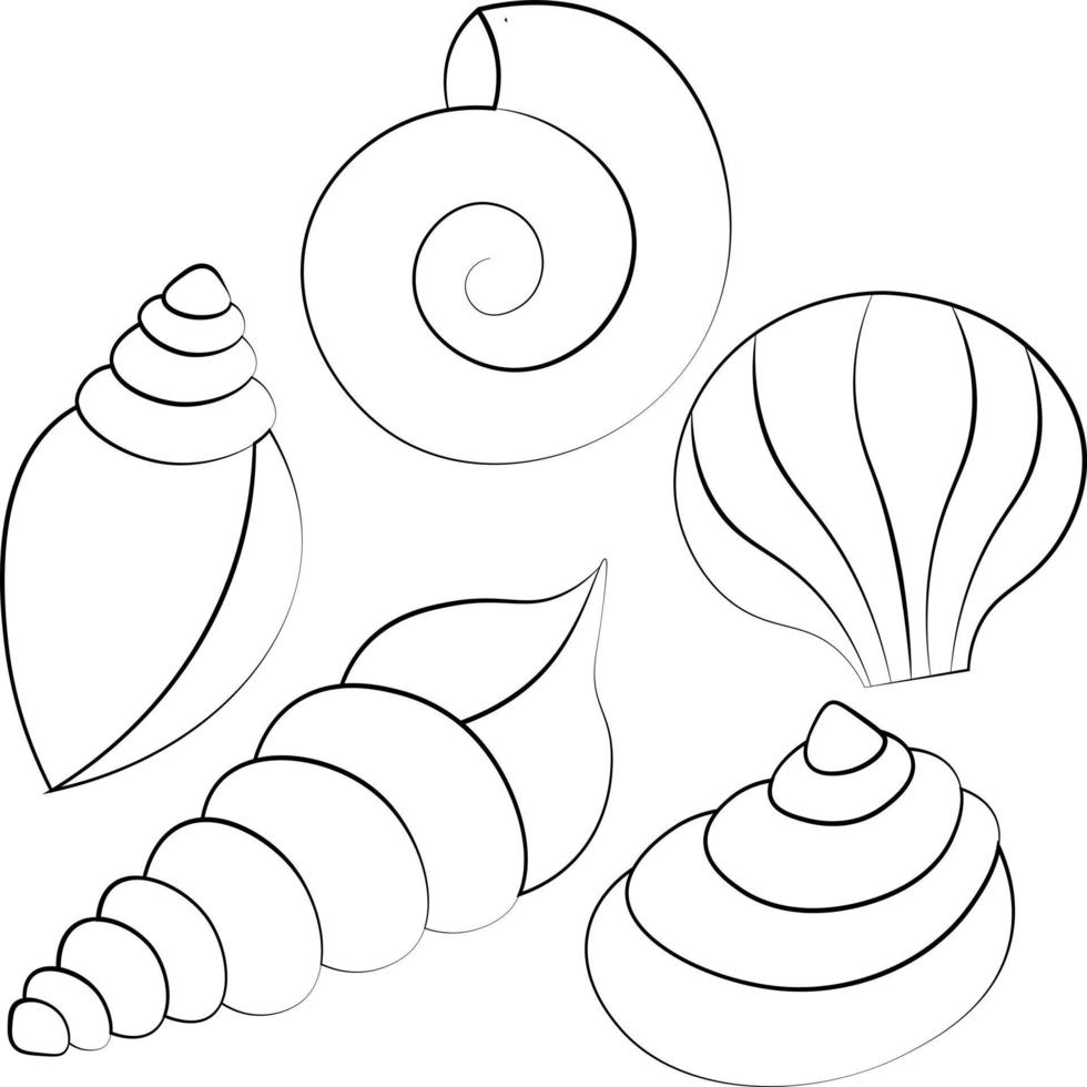 miniconjunto de conchas. desenhar ilustração em preto e branco vetor