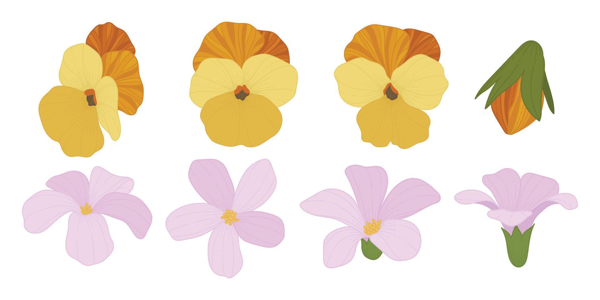 conjunto de ilustração de flores desabrochando coloridas. vetor